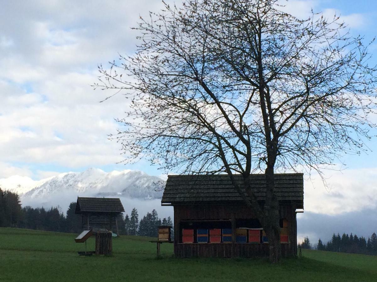 Ferienwohnung Lassendorf Hermagor-Pressegger See Exteriér fotografie